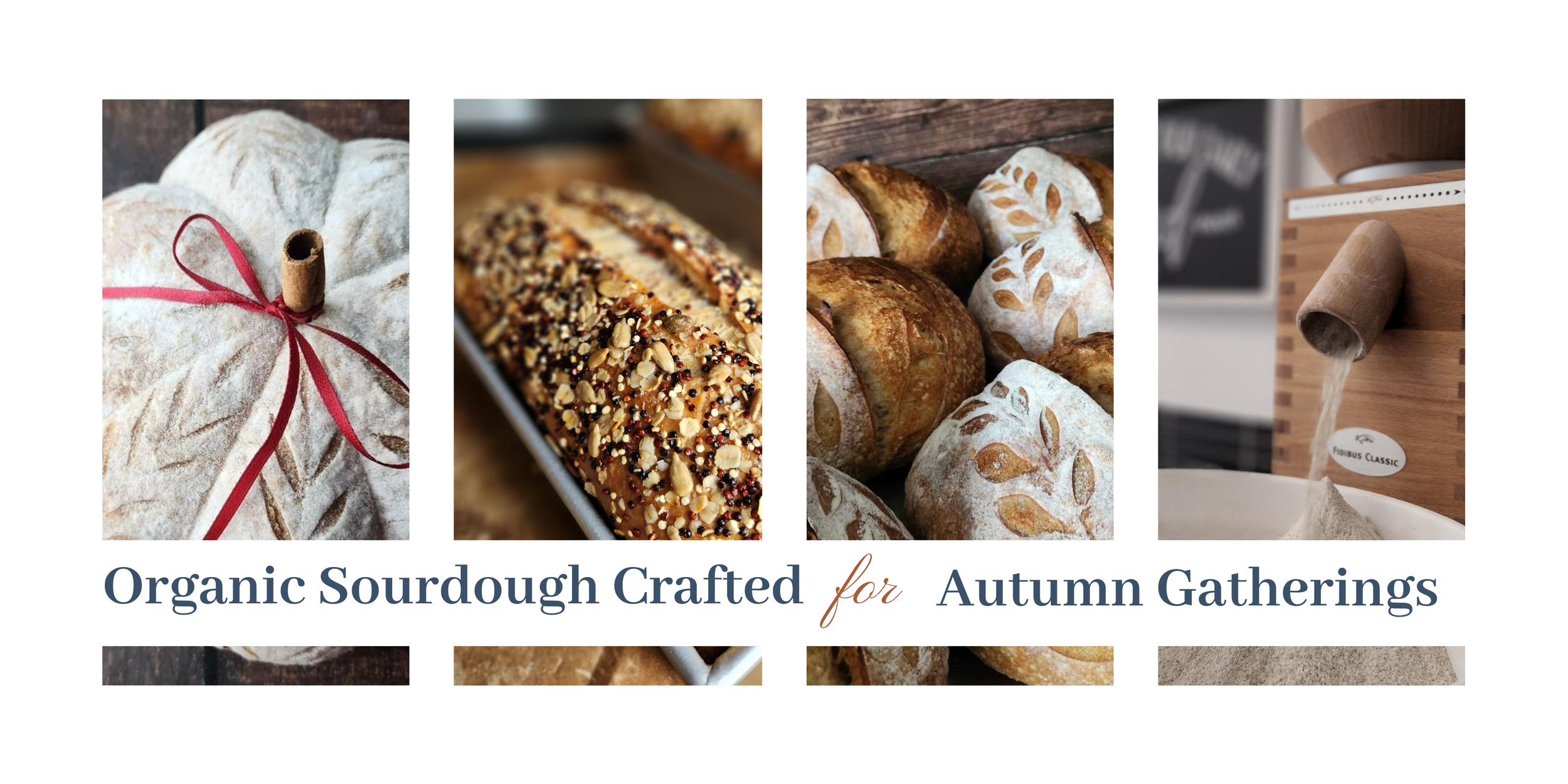 Spring & Summer Sourdough | Seasonal Artisan Bakes in Collierville